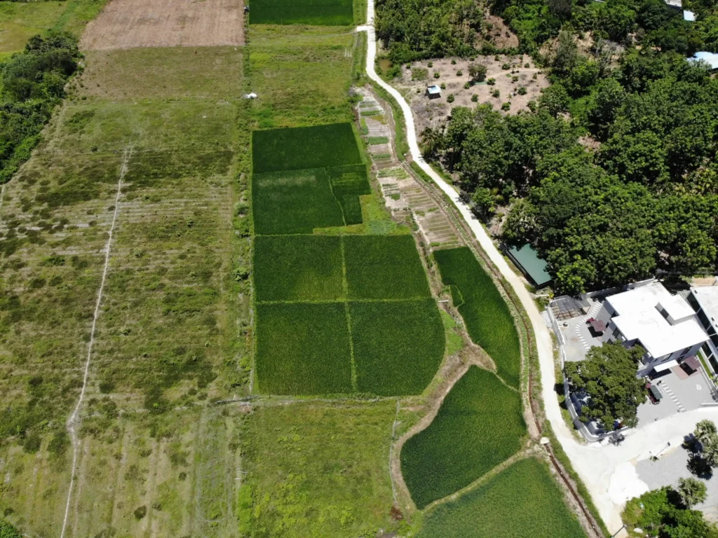 Plot Management
